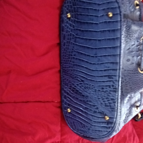 Blue Brahmin - Picture 3 of 4